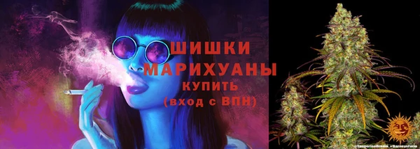 индика Остров