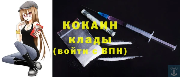 твердый Нягань