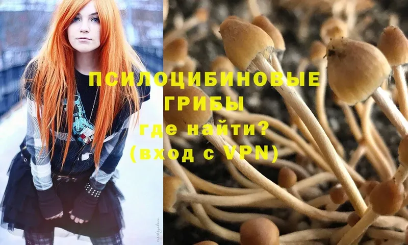 Галлюциногенные грибы Psilocybe  Кумертау 