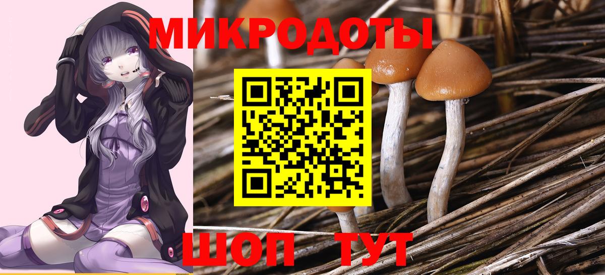 Псилоцибиновые грибы прущие грибы Кумертау