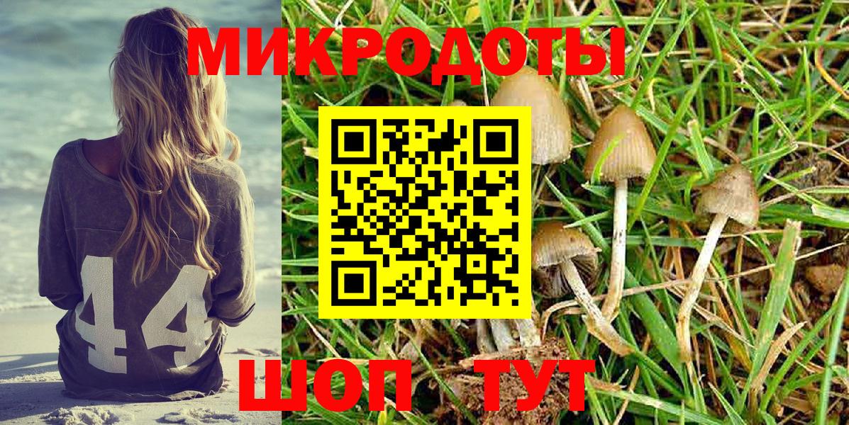 Кумертау  где купить   Вход с VPN  Галлюциногенные грибы MAGIC MUSHROOMS 